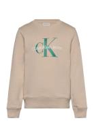 Calvin Klein Ck Monogram Terry Cn Beige