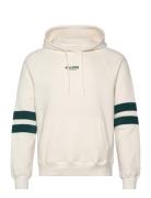 Hollister Hco. Guys Sweatshirts Kräm