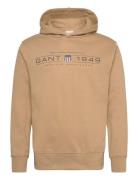 GANT Graphic Hoodie Beige