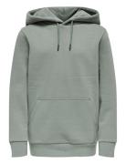 ONLY & SONS Osjceres Hoodie Swt Noos Grå