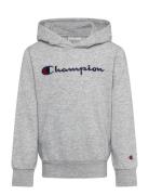 Champion Hooded Sweatshirt Grå