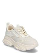 Steve Madden Jpossession Sneaker Kräm