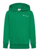 Champion Hooded Sweatshirt Grön