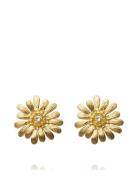 Caroline Svedbom Daisy Earrings Gold Guld
