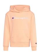 Champion Hooded Sweatshirt Rosa