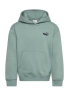 PUMA Ess Small No. 1 Logo Relaxed Hoodie Fl B Grön