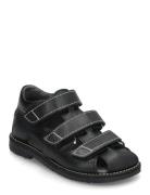 ANGULUS Sandals - Flat - Closed Toe Svart