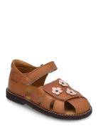 ANGULUS Sandals - Flat - Closed Toe Brun
