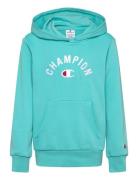 Champion Hooded Sweatshirt Blå