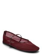 Steve Madden Mash Balerina Burgundy