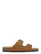 Scholl Sl Julien Suede Cognac Brun