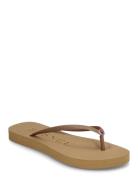 BUSNEL Vivi Flip Flop Beige