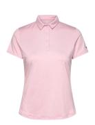 Under Armour Ua Playoff Ss Polo Rosa