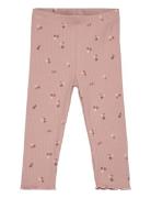 The New Tnsbodelia Rib Leggings Rosa