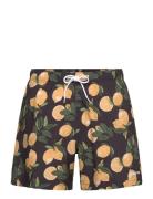 Hollister Hco. Guys Swim Svart