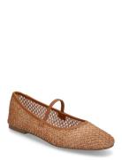 Steve Madden Majorca Ballerina Brun