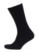 Claudio Claudio Socks Solid Colours Blå