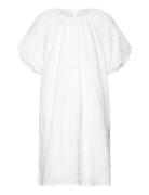 Mango Dress .-- Pompi Vit