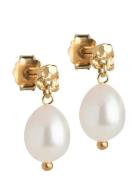 Enamel Copenhagen Poe Pearl Studs Guld