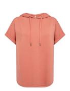 Soyaconcept Sc-Banu Rosa