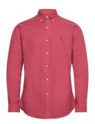 Polo Ralph Lauren Custom Fit Garment-Dyed Oxford Shirt Rosa
