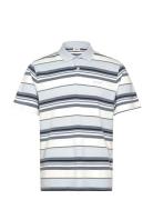 Levi's® Authentic Polo Acacius Stripe Blå