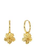 Edblad Jasmine Hoops Guld