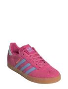 Adidas Originals Gazelle J Rosa