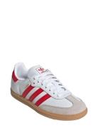 Adidas Originals Samba Og J Vit