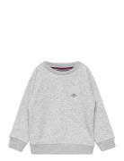 GANT Shield C-Neck Multi/patterned