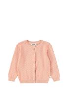 Molo Goldie Rosa