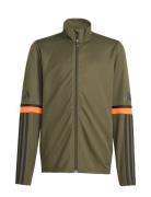 Adidas Performance Sq25 Tr Jkt Y Khaki Green
