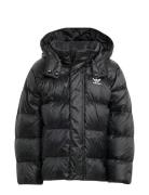 Adidas Originals Down Jacket Svart