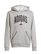 Adidas Sportswear J Clgt Oh Fl Hd Grå