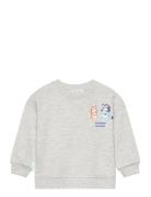 Mango Bluey-Print Sweatshirt Grå