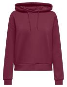 Only Play Onplounge Life Hood Ls Swt Noos Burgundy