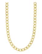 Pilgrim Charm Curb Necklace Gold-Plated Guld