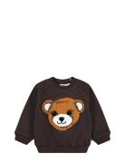 Molo Disc Brun