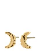 Pilgrim Between Moon Earrings Gold-Plated Guld