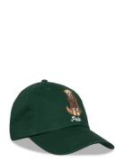 Polo Ralph Lauren Dog-Embroidered Twill Ball Cap Grön