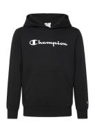 Champion Hooded Sweatshirt Svart