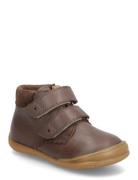 ANGULUS Skor Badskor - Flat - With Velcro Brun