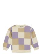 Daily 7 Sweater Check Multi/patterned