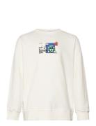 The New Tnphillip Sweatshirt Vit