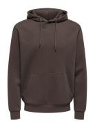 ONLY & SONS Onsceres Hoodie Sweat Noos Brun