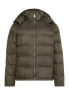 Calvin Klein Jeans Ls Nylon Zip Off Hood Down Puffe Khaki Green