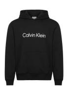 Calvin Klein Ls Eu Standard Logo 350Terry Po Svart