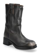 Steve Madden Benedict Brun