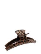 Pipol's Bazaar Bonny More Clasp Leo Brown Brun