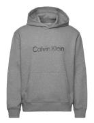 Calvin Klein Ls Eu Standard Logo 350Terry Po Grå